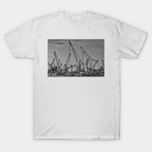 Cranes B+W T-Shirt